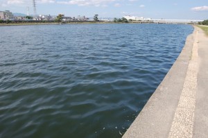 武庫川1